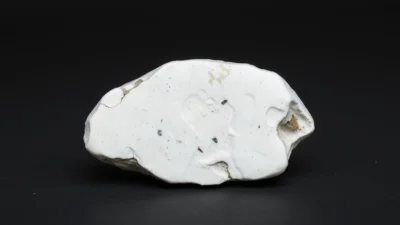 Howlite Natural Gemstone Crystal Specimen